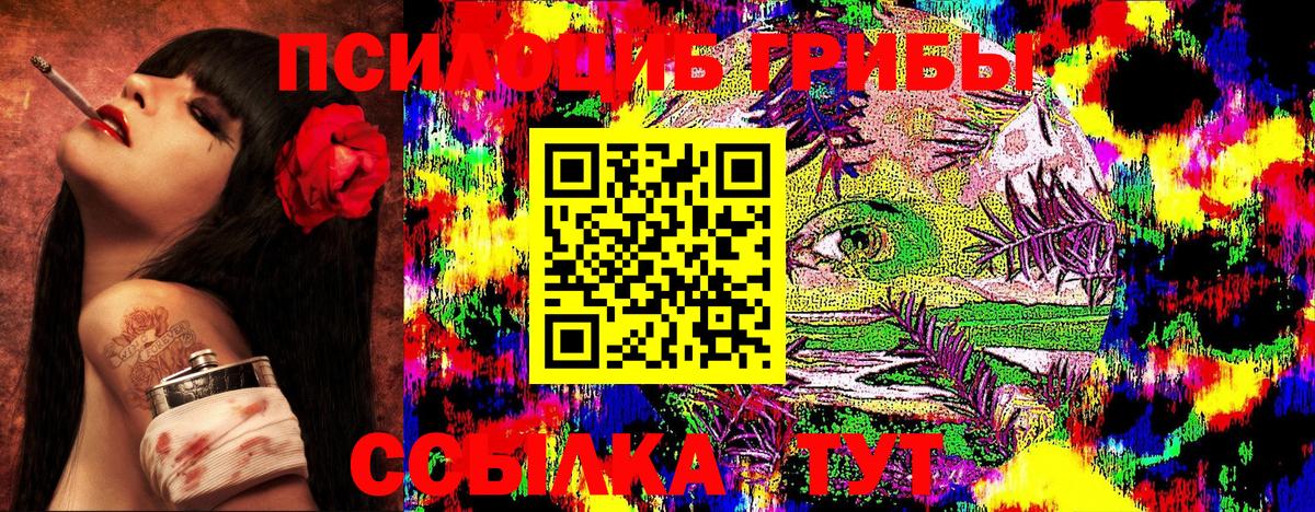 Псилоцибиновые грибы GOLDEN TEACHER  купить наркоту  Новоуральск  Вход с VPN 