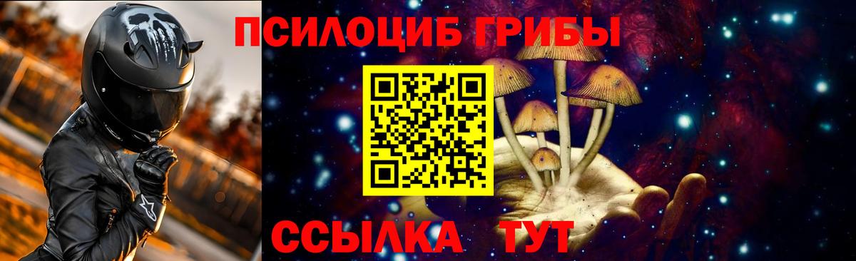 Псилоцибиновые грибы прущие грибы Новоуральск
